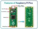 pico.webp
